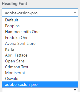 Typekit Font Loader